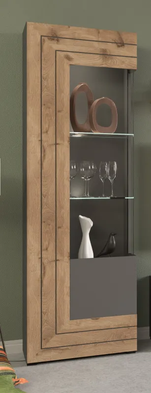 Vitrine Freno | grau matt / Nox Oak | inkl. LED Beleuchtung mit 2er Set LED Unterbauspot