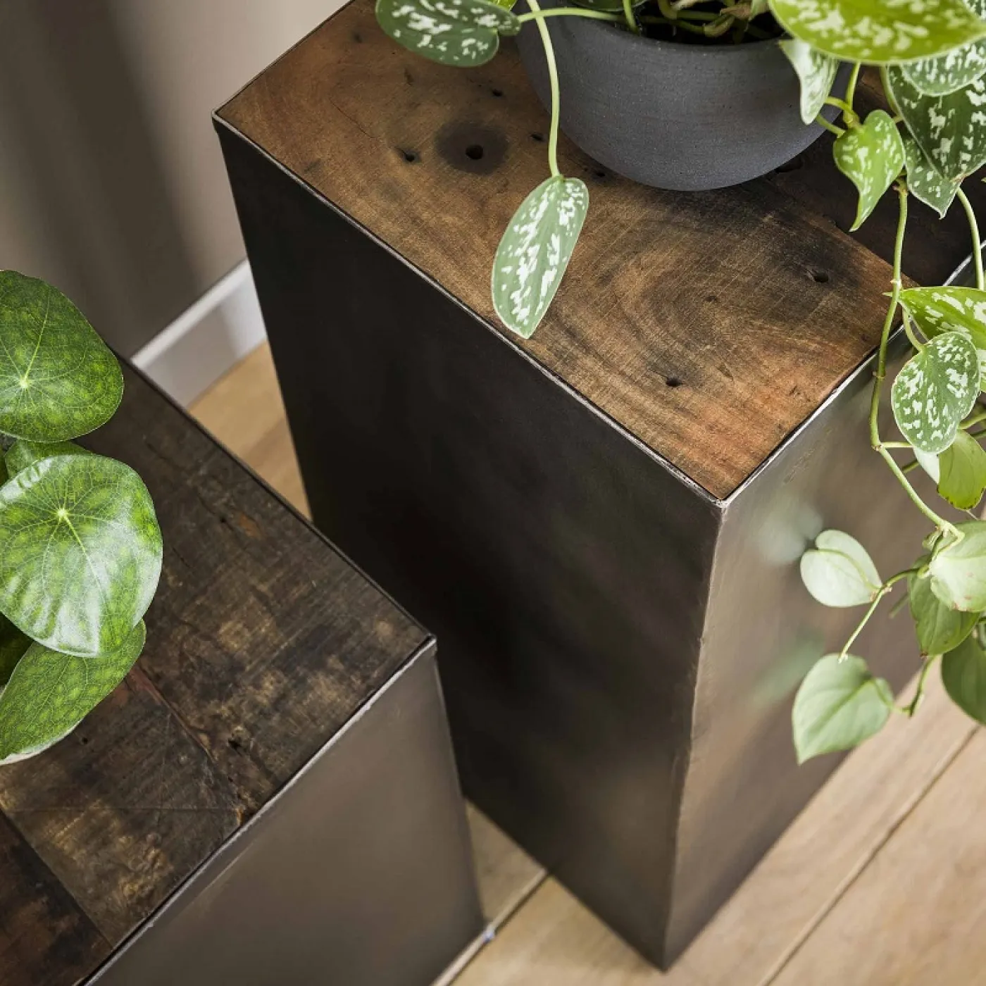 Blumentisch Addio | 50/70 | robustes Hartholz