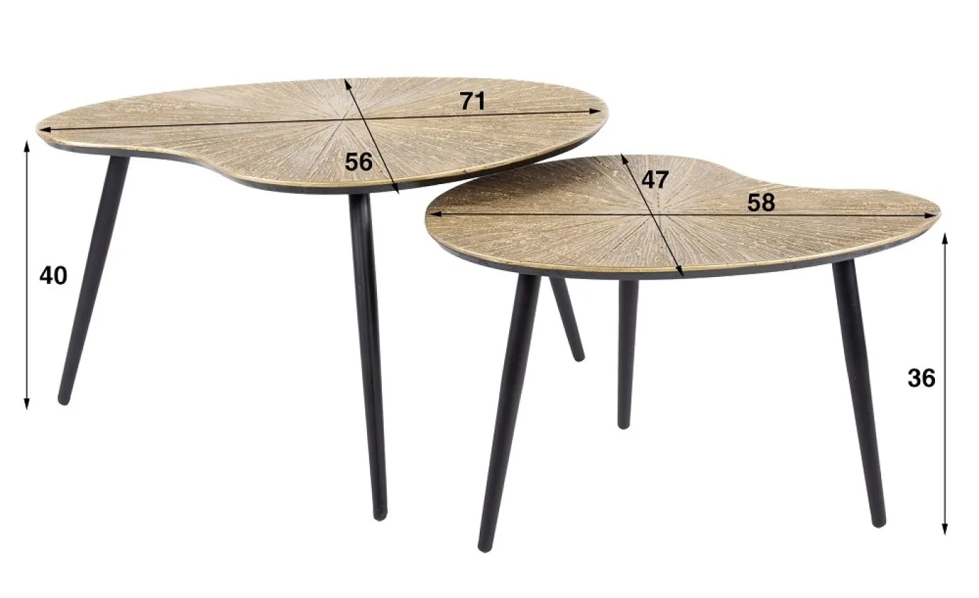 Couchtisch Set Coins | 2-teilig | Nierenform | Metall | Bronze Ray