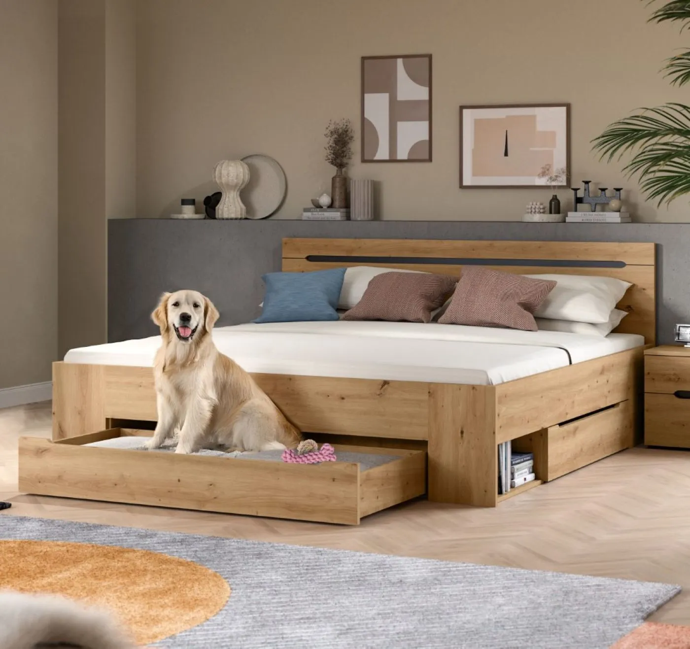 Holzbett Canu (L) | mit Auszüge | artisan / Basalt grau