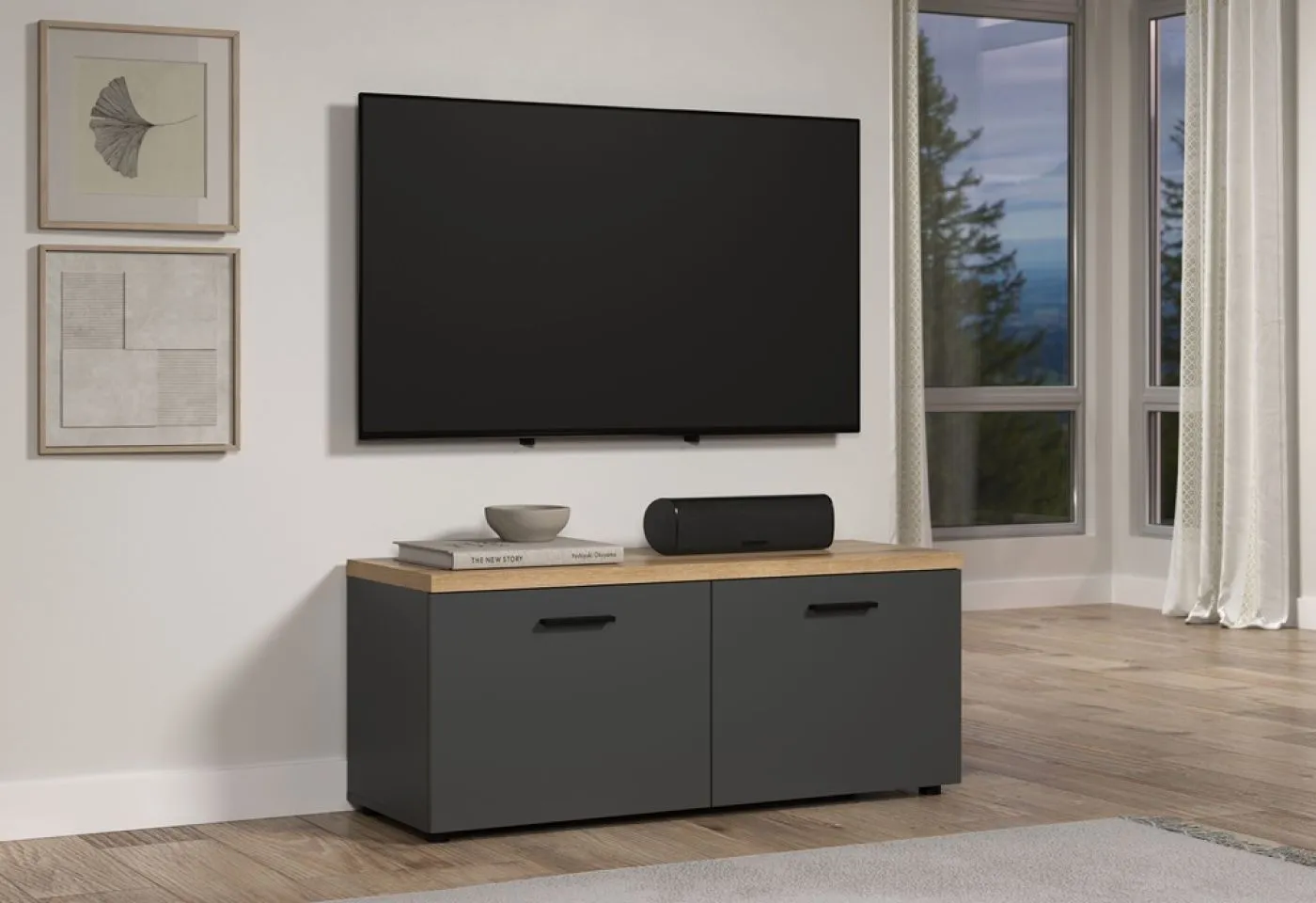 TV-Board Baggio | Anthrazit / Coast Evoke Oak
