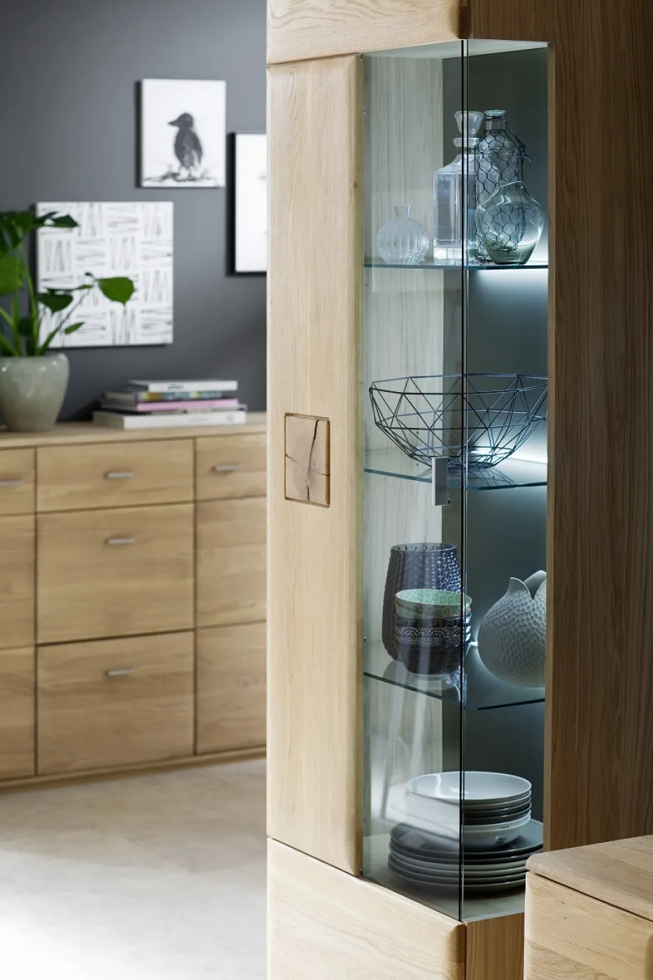 Vitrine Bologna | Eiche Bianco | mit LED Rückwandbeleuchtung