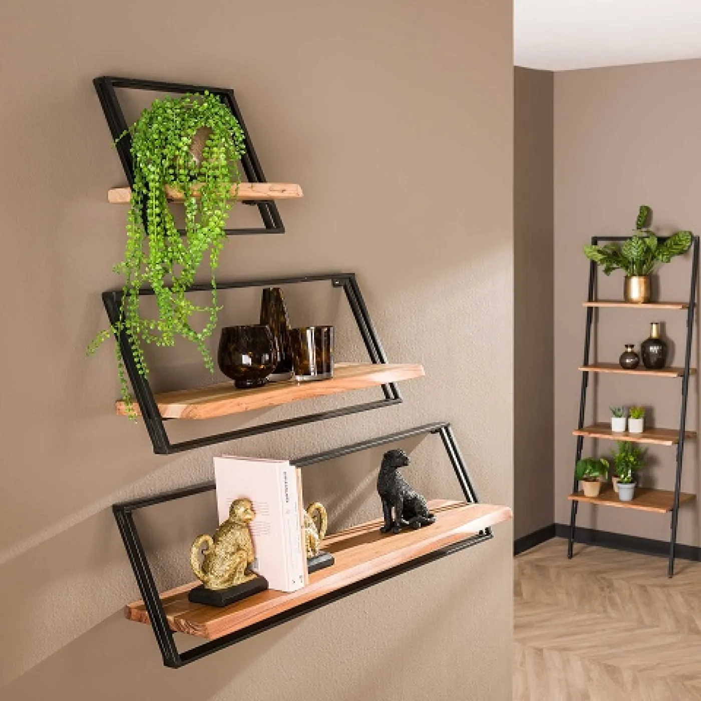 Wandregal Set Dost | 3-teilig | Akazie massiv | naturell