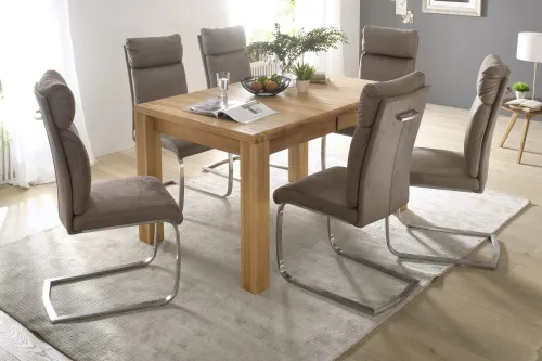 2er Set Freischwinger Stuhl Rabea | braun