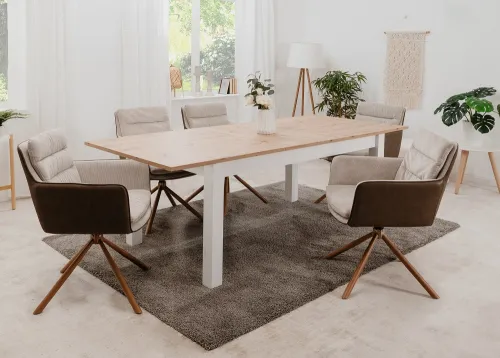 2er Set Stuhl Logan mit Armlehnen | drehbar | braun / beige