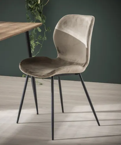 4er Set Stuhl Gonio Samt | champagner