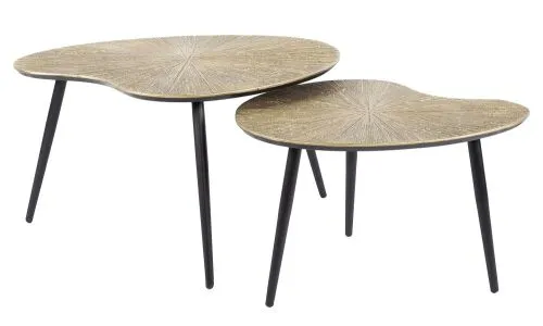 Couchtisch Set Coins | 2-teilig | Nierenform | Metall | Bronze Ray