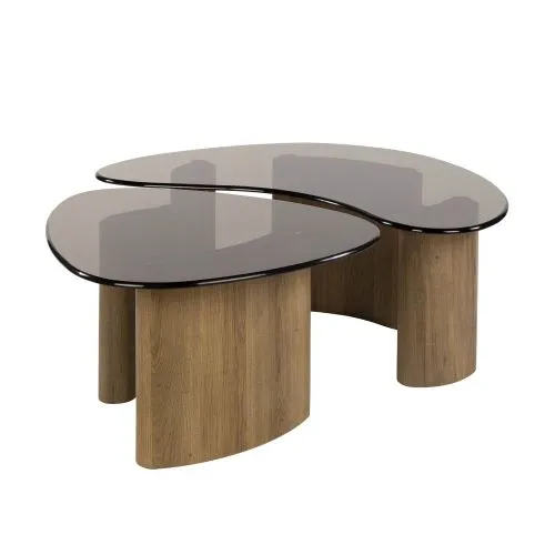 Couchtisch Set Shades | 2-teilig | nierenförmig | Glas | Bronze