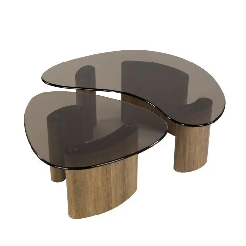 Couchtisch Set Shades | 2-teilig | nierenförmig | Glas | Bronze