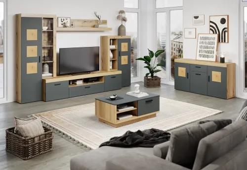 TV-Board Lowboard Tyler | grau / Coast Evoke Eiche | mit Beleuchtung