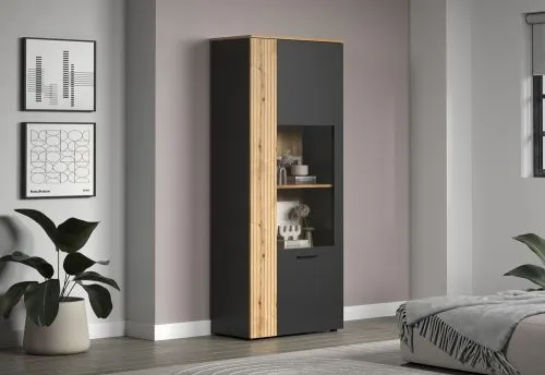 Vitrine Esteban 1 | Anthrazit / Coast Evoke Oak