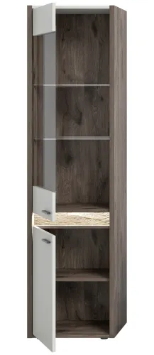 Vitrine Falcona | Nox Oak dunkel / hellgrau | inkl. Frontbeleuchtung