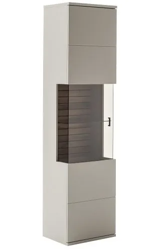 Vitrine Lüttich | Basalt / Wotan Eiche | optional LED Beleuchtung