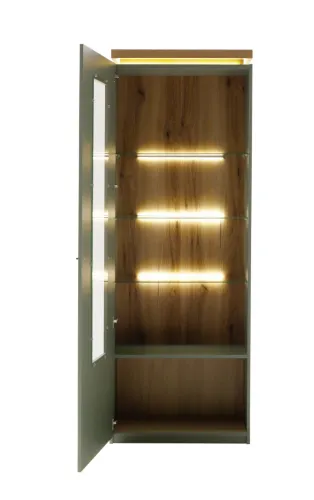 Vitrine Moniz | Salbei grün / Eiche Evoke | mit LED Rückwandbeleuchtung