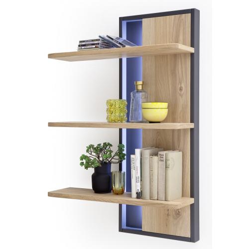 Wandregal Portland | Asteiche Bianco massiv