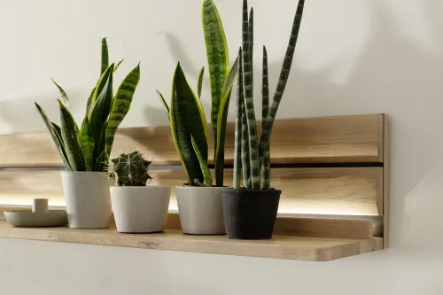 Wohnkombination 3 Girona | Ast / Balkeneiche | 3-teilig | Beleuchtung Highboard